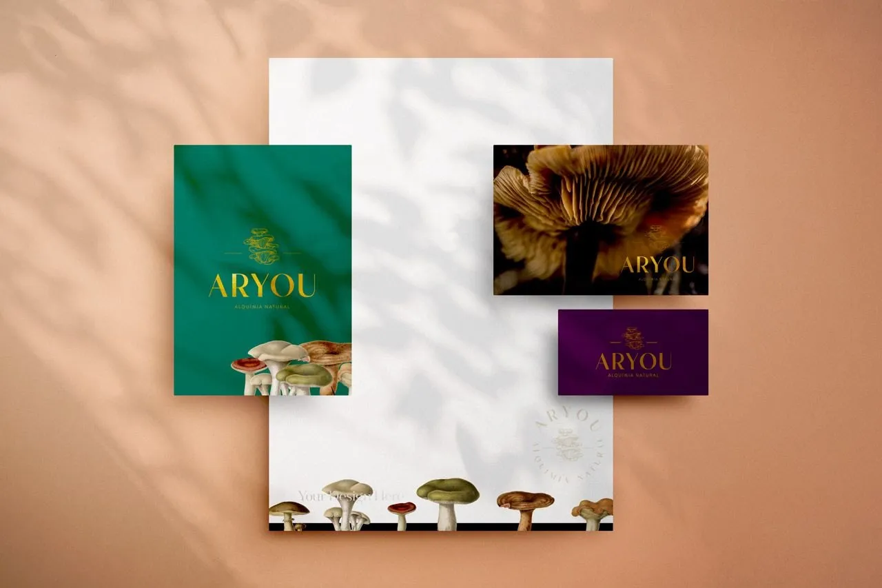 Stationery with a green folder, cards, and a sheet with illustrated mushrooms