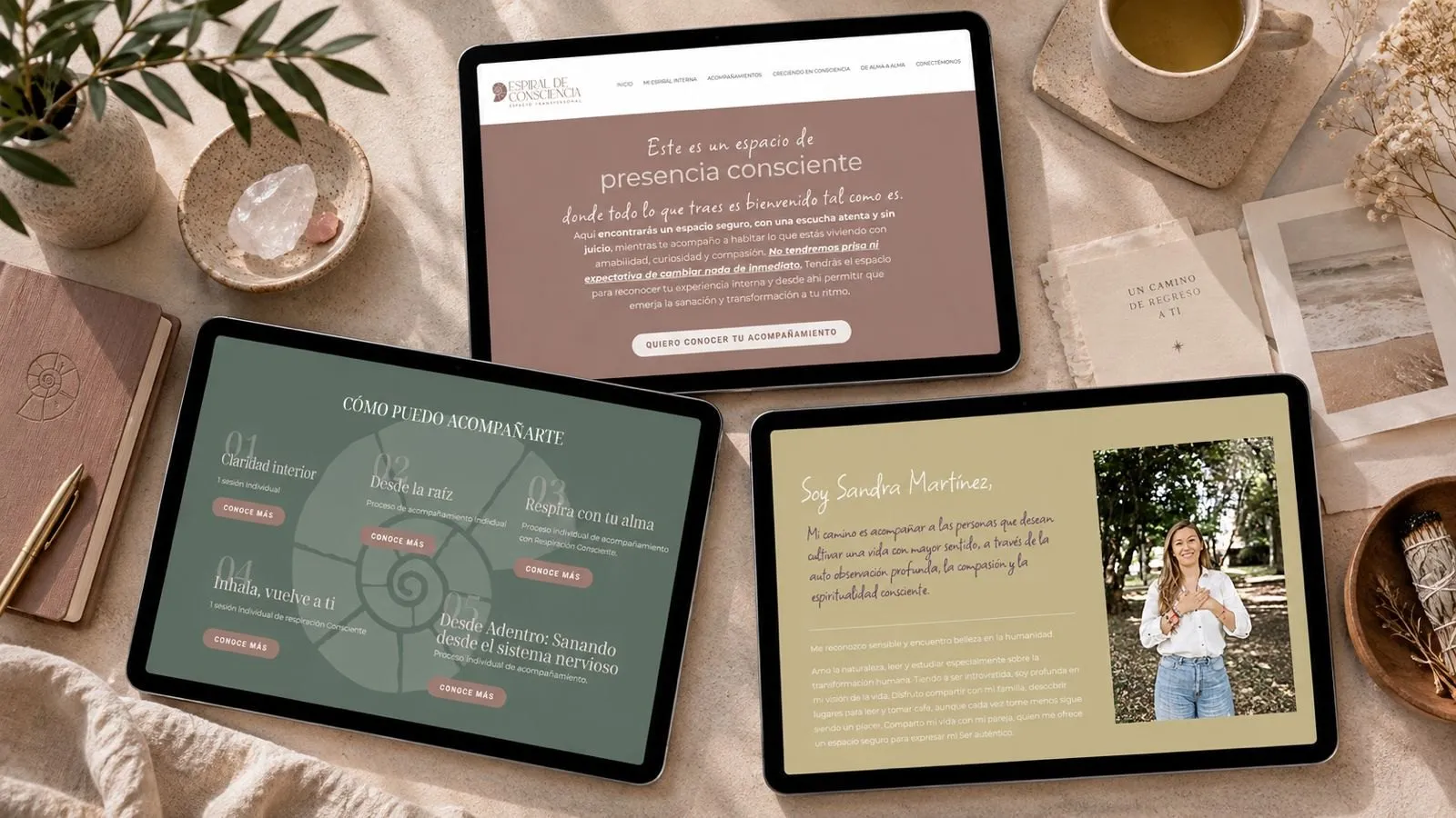 Website on three tablets